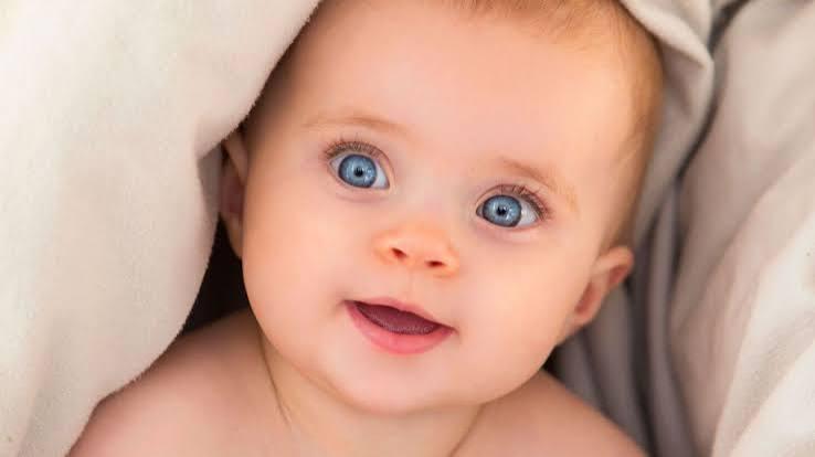 Bebe